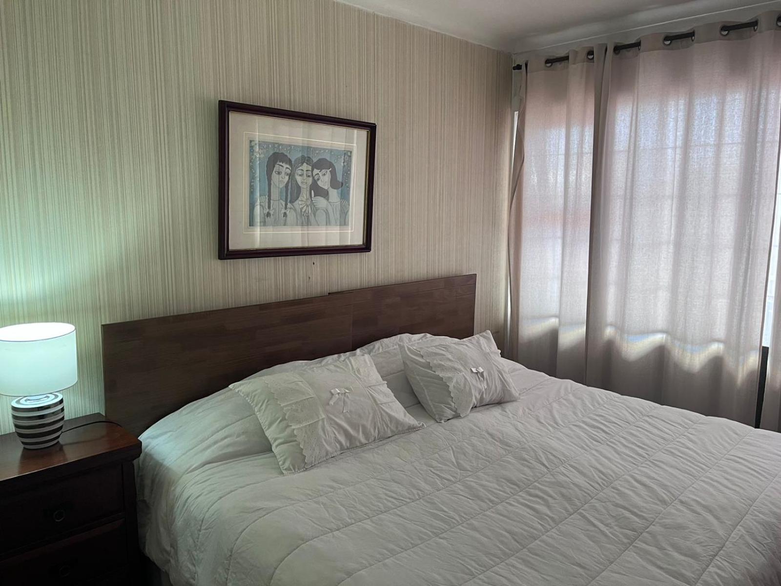 New Hotel Cruz Del Sur Concepción Kültér fotó