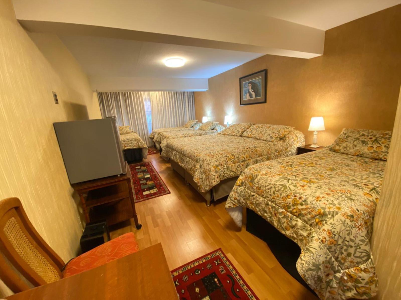 New Hotel Cruz Del Sur Concepción Kültér fotó