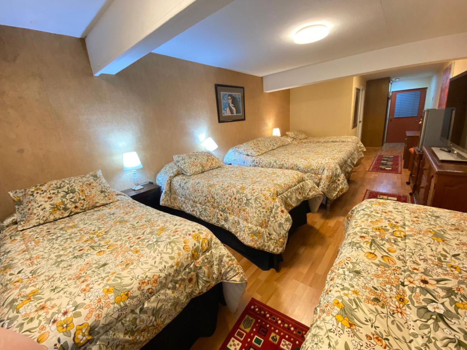 New Hotel Cruz Del Sur Concepción Kültér fotó
